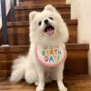 New Happy Birthday Embroidery Dog bib Pet Cat Dog bib Mouth towel